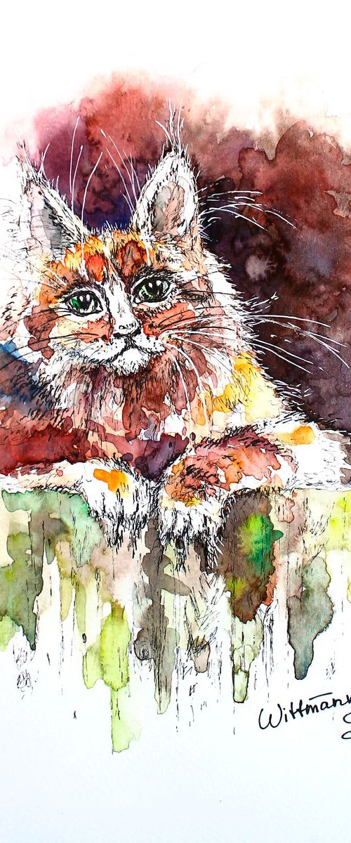 Orange cat sitting by Svetlana Wittmann