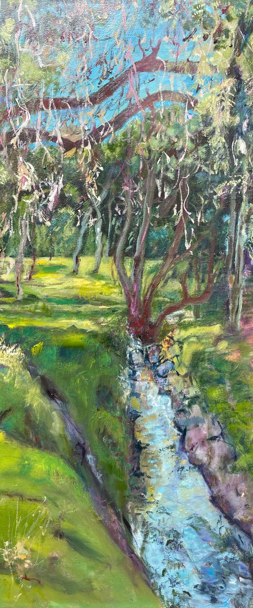TORRENS RIVER FROM THE BRIDGE by Maureen Finck