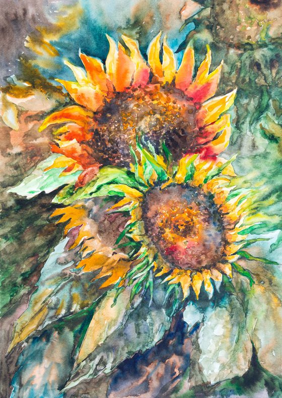 Sunflowers