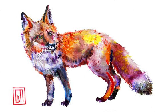 Red Fox