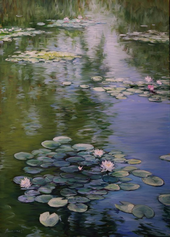 "Water lilies"