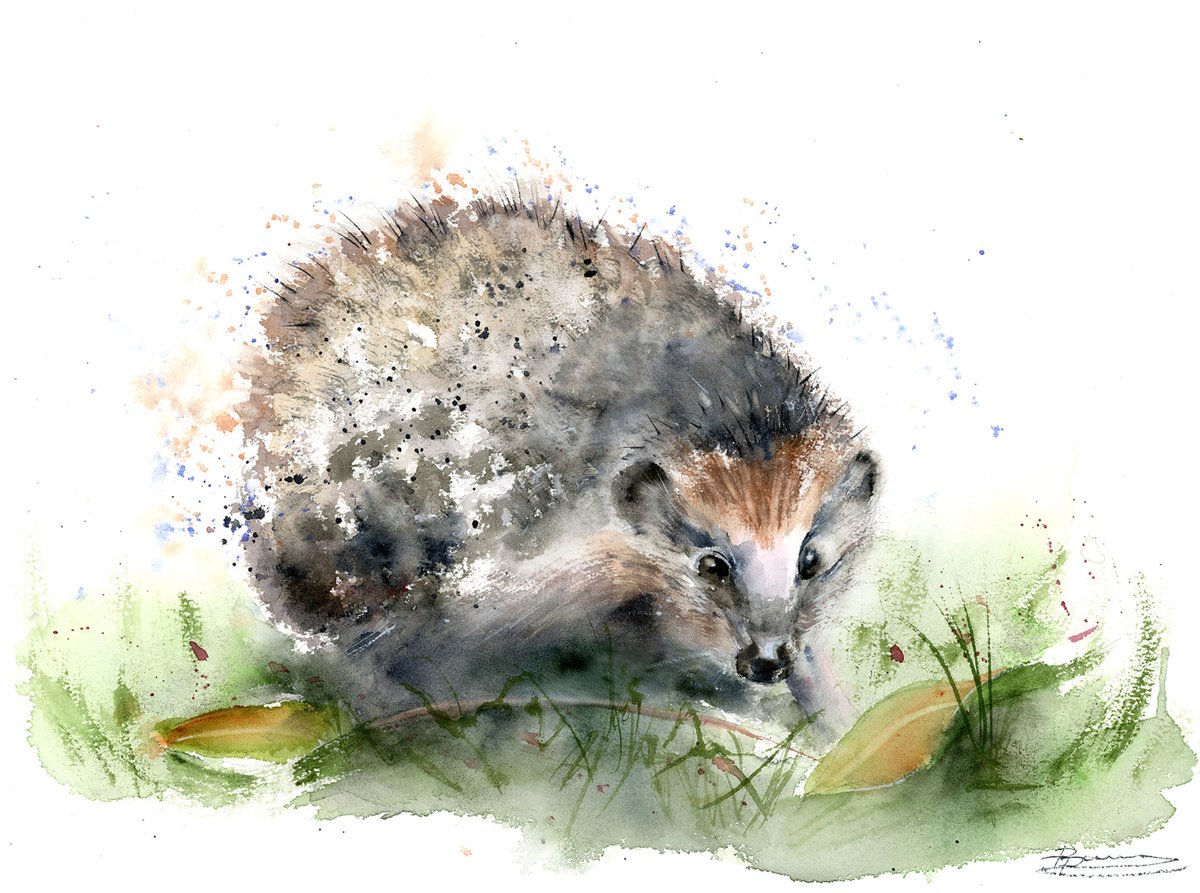 Impressionistic Animal Watercolour By Olga Tchefranov (Shefranov), 14 X 10", Hedgehog, Original Artwork