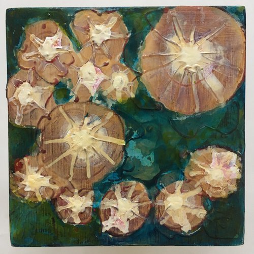 Limpets, no.6 by Nichola Campbell