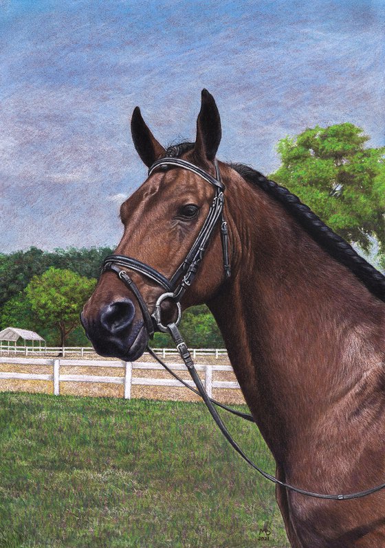 Original pastel drawing horse "Chocolate"