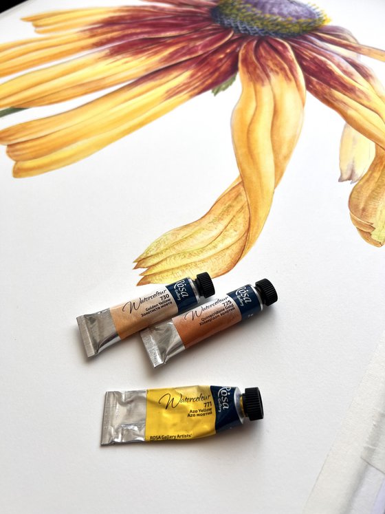 Greetings to the sun