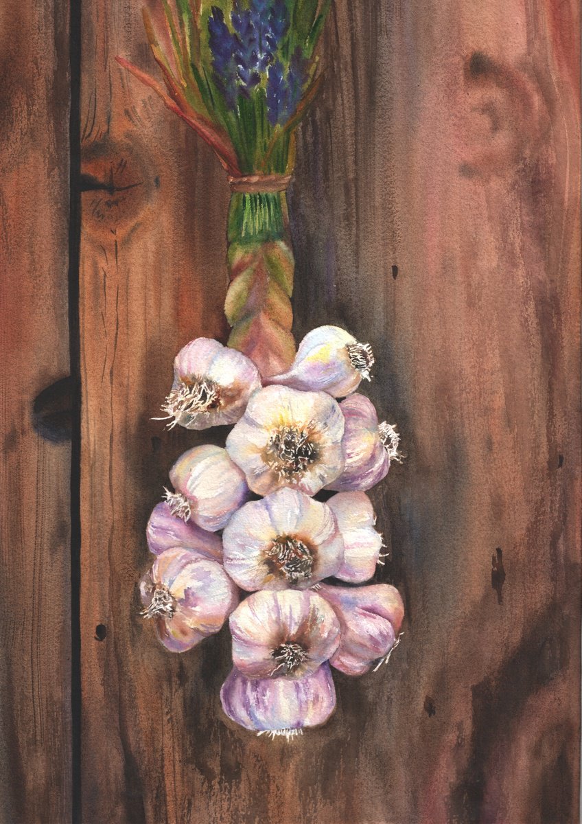 Photorealistic Still Life Watercolour By Maryna Boiko, 13 X 17", Garlic, Original Artwork