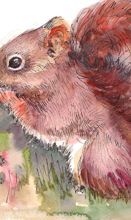 Red Squirrel Art -A nutty encounter by Asha Shenoy