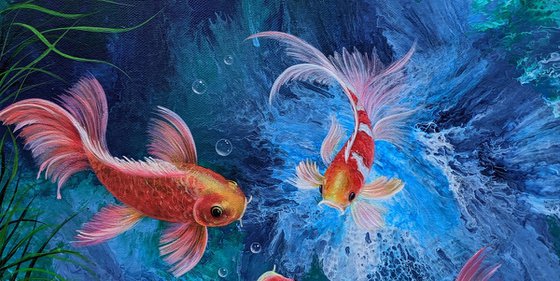 Dance of the Koi