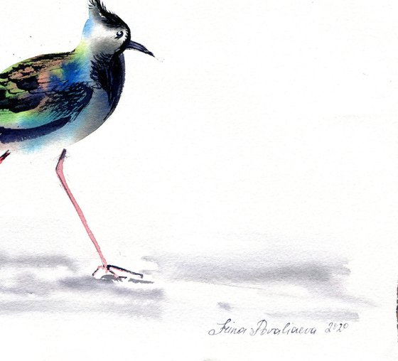 Lapwing, walking to 2021, 37,5x27,5 cm watercolor, still life with bright bird, gift idea, medium