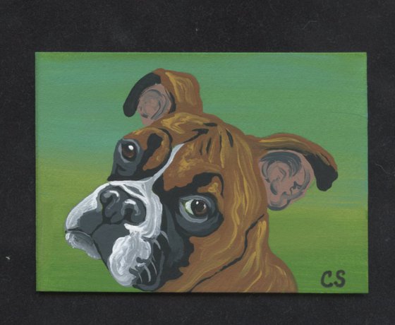 ACEO ATC Original Painting Boxer Pet Dog Art-Carla Smale