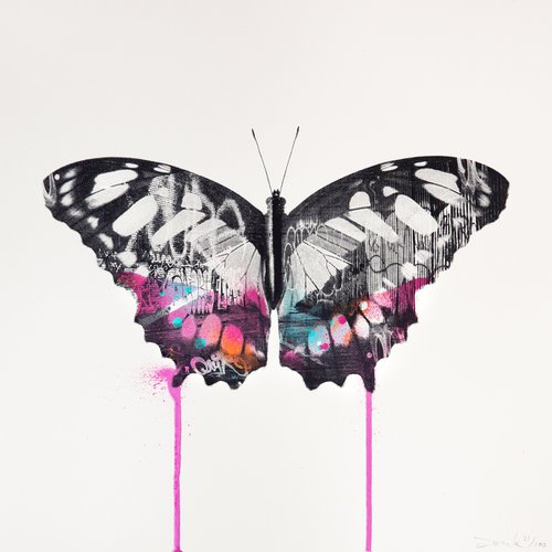Graffiti Butterfly (Pink Edition) by Donk