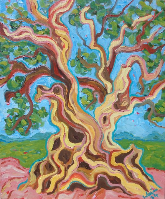 Olive Tree SOLD