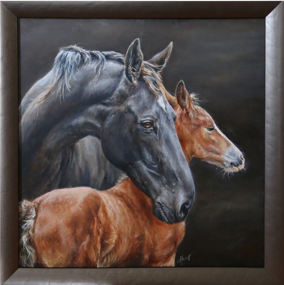 Horse (mare) and foal, equine, equestrian