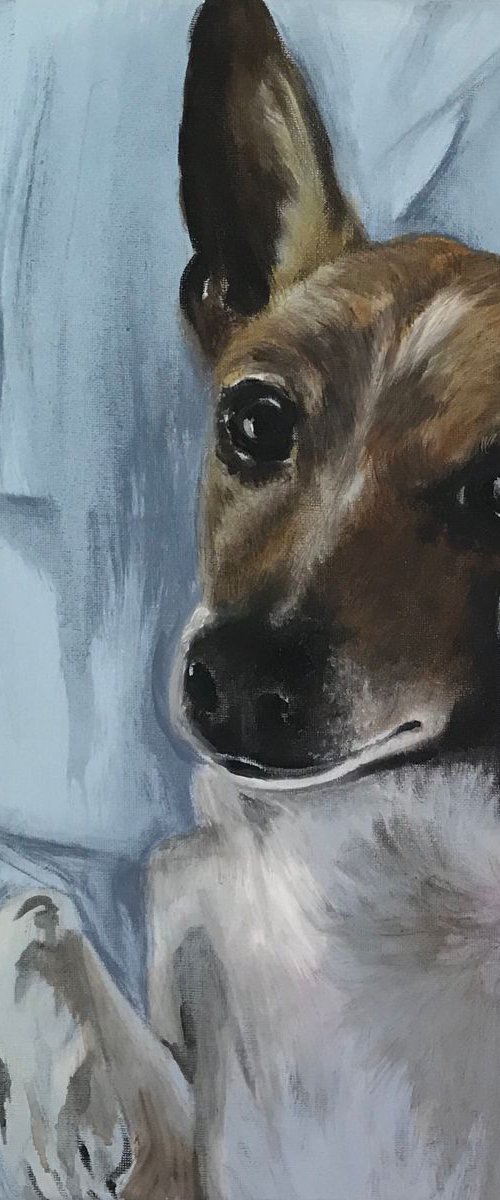 Jack by Amanda Lakin Art