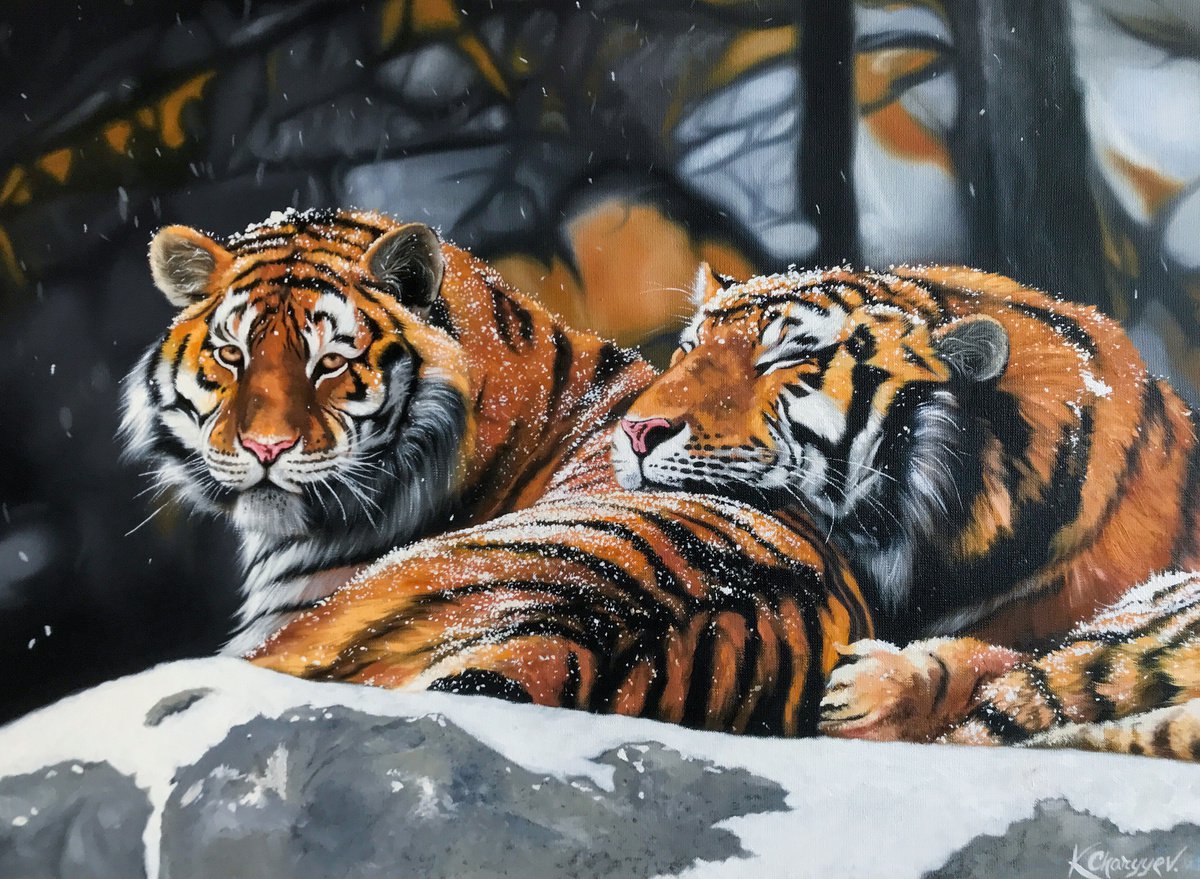Love of the Amur tigers by Kakajan Charyyev