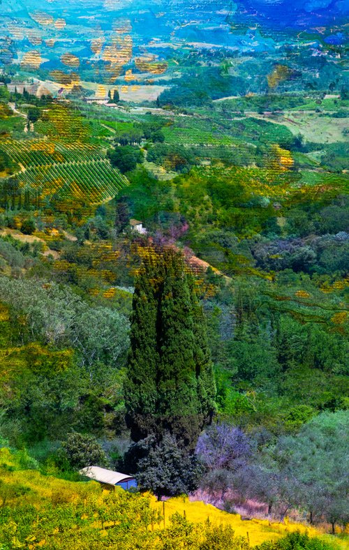 View of Tuscany by Viet Ha Tran