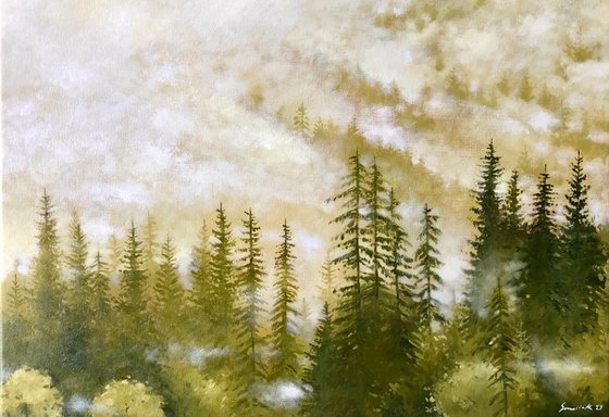 Foggy Forest #4