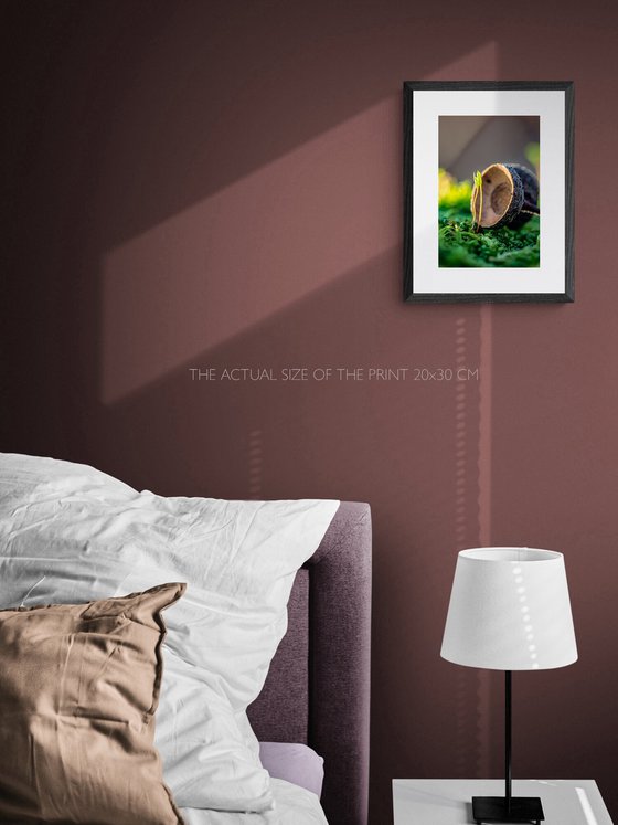 Mossy Love Story - matted