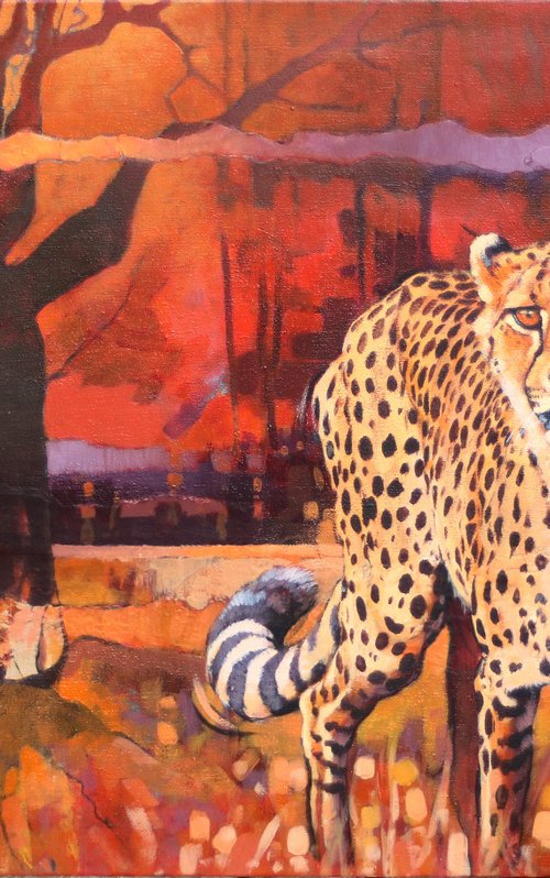 From Beneath the Baobab by Heather Irvine