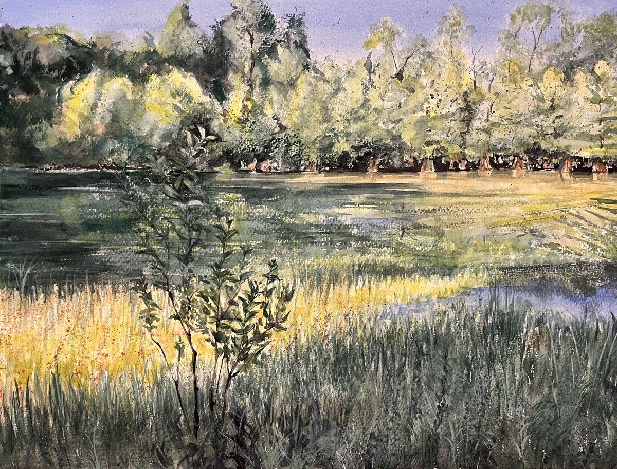 Pedrick Pond II by Yoshiko Murdick