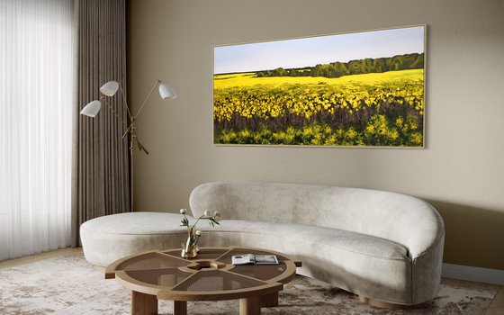 "Golden Canola Field"