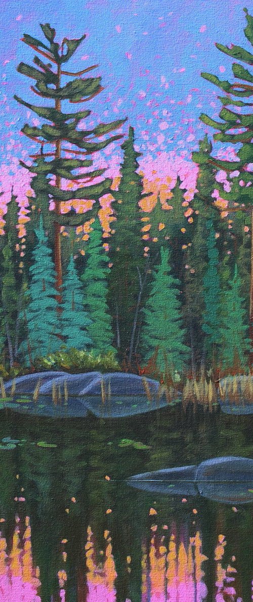 Morning Sun on the Water by Sage Mountain Studio