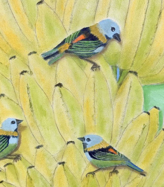 BIRDS OF A FEATHER BRAZIL