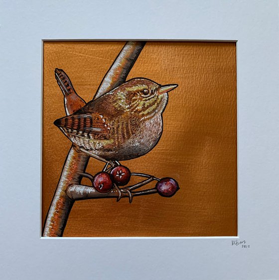British Garden Birds series - Wren