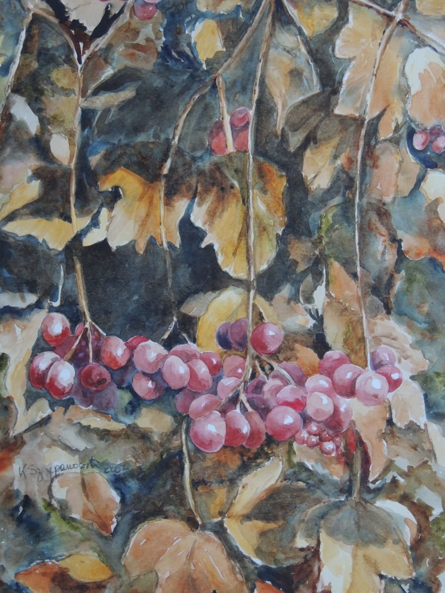 Autumn berries by Krystyna Szczepanowski