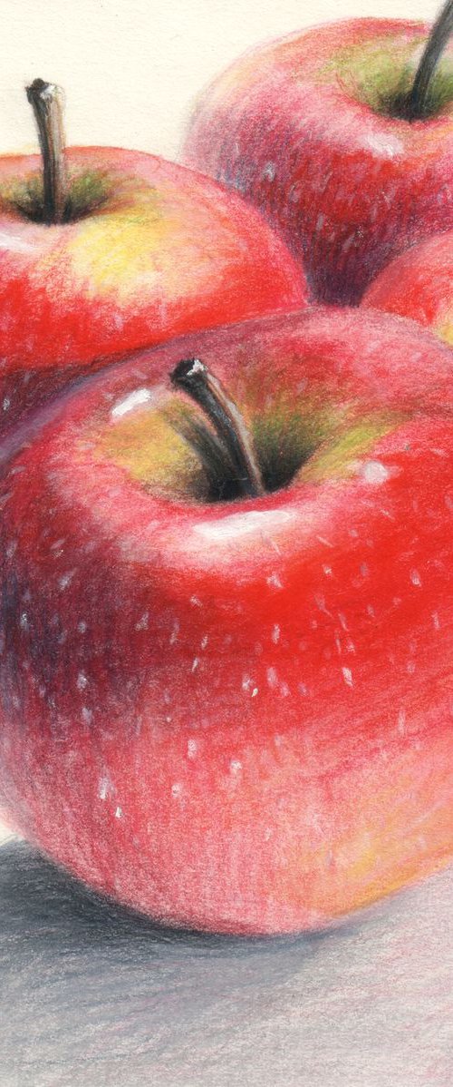 NO.141, Red Apples by sedigheh zoghi