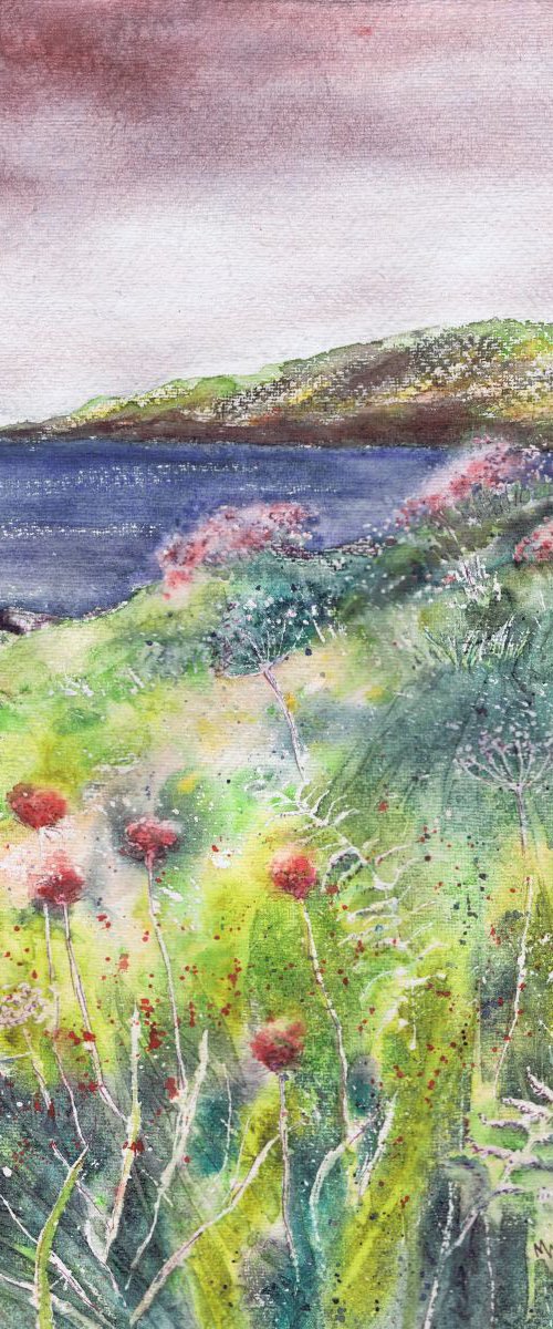 Sea Thrift by the Coast Path, Cornwall by Michele Wallington