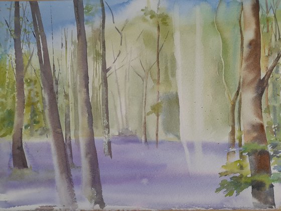 Bluebell Wood, Original watercolour painting