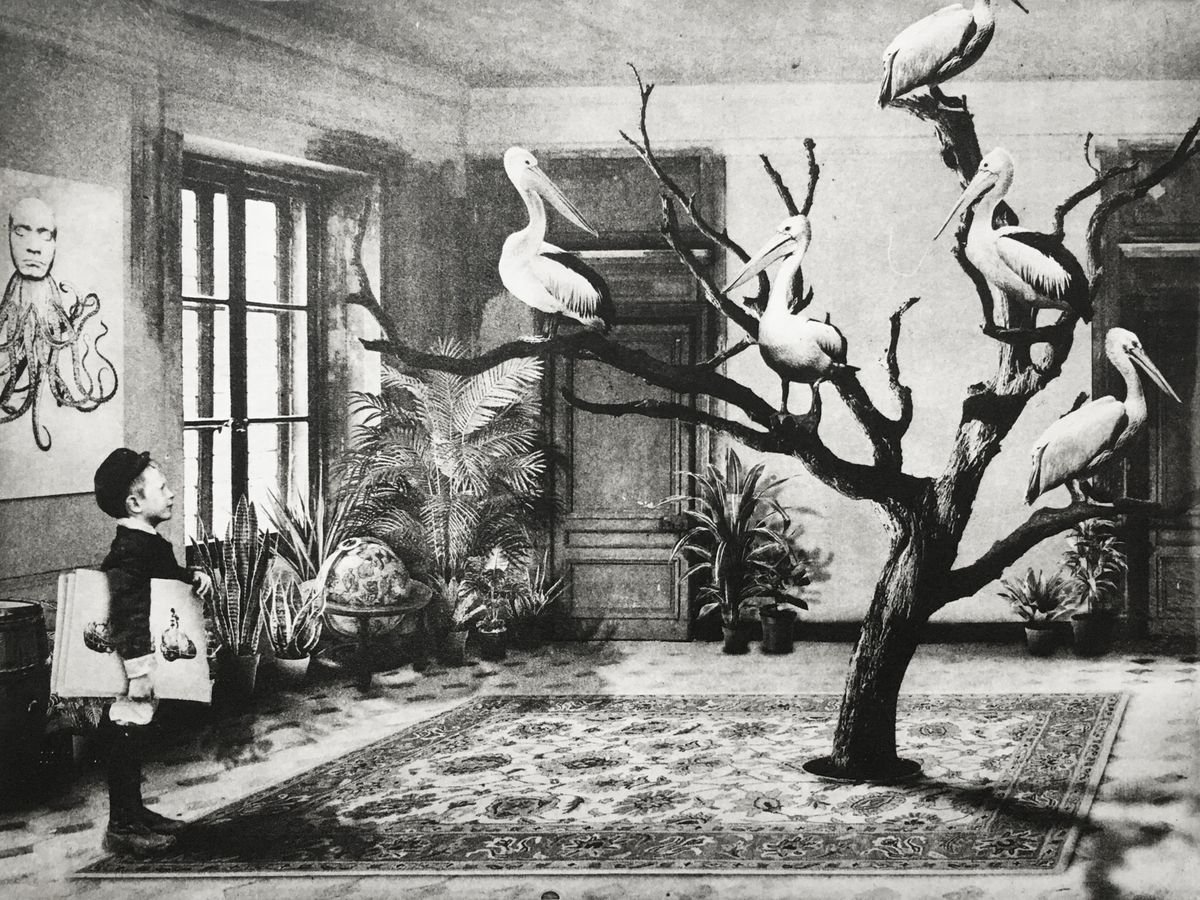 Surrealistic Animal Etchings & Engravings By Jaco Putker, 13 X 10, Interior No.47, Original Artwork