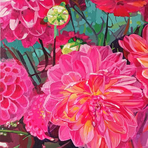 Dahlias