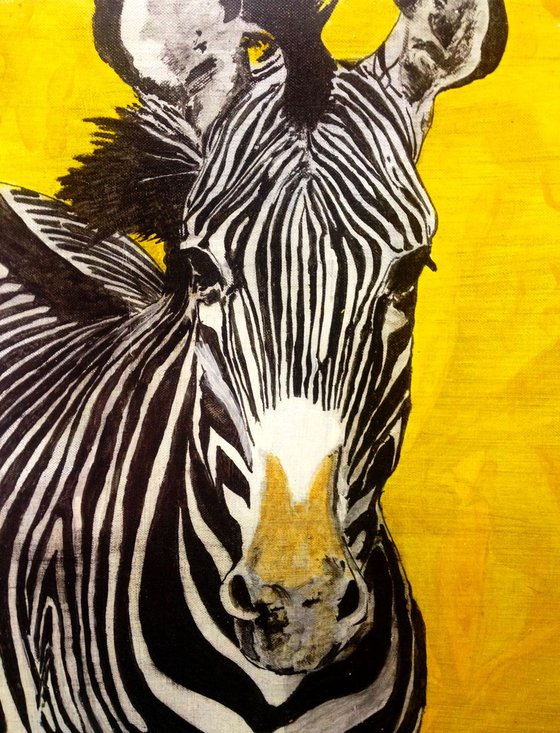 A zebra in yellow- original oil painting - 50 x 60 cm (20' x 24')