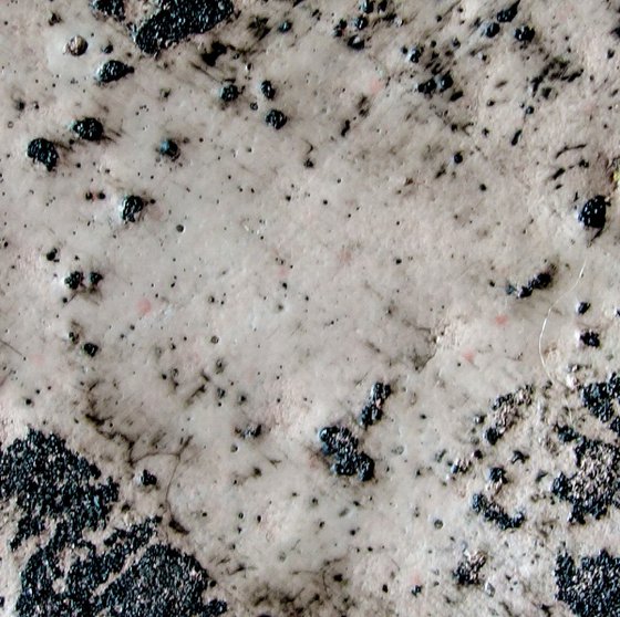 Frozen Pond 1