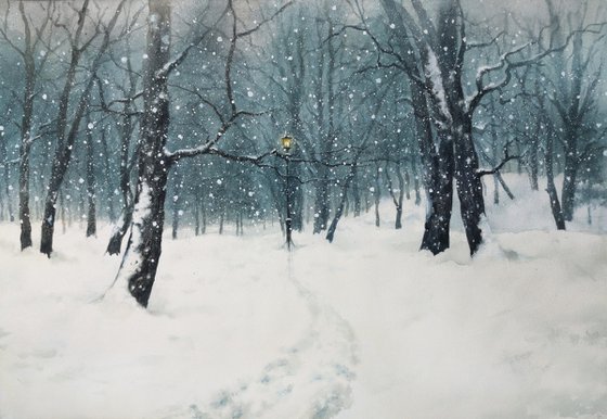 Winter Snow Trees Park at Twilight