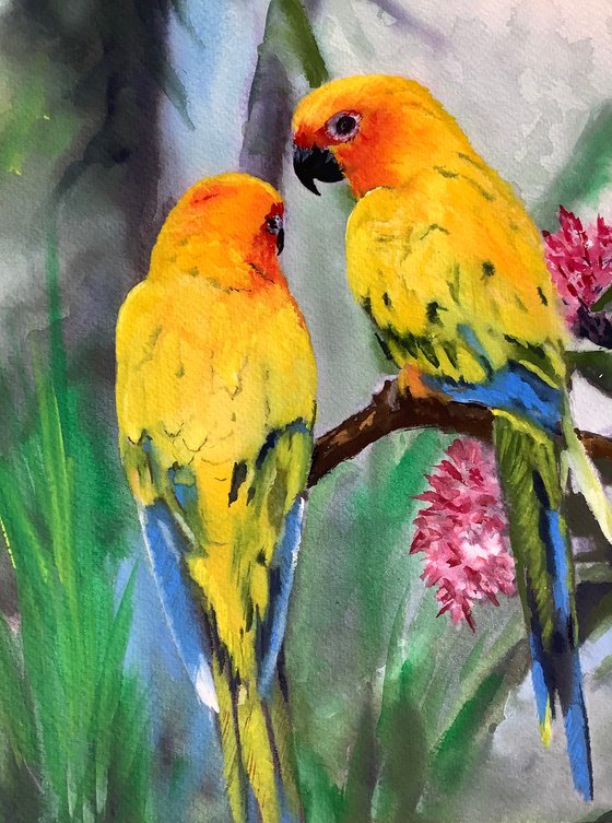 Yellow Parrots