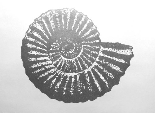 Ammonite single colour (silver on white) by Ieuan Edwards