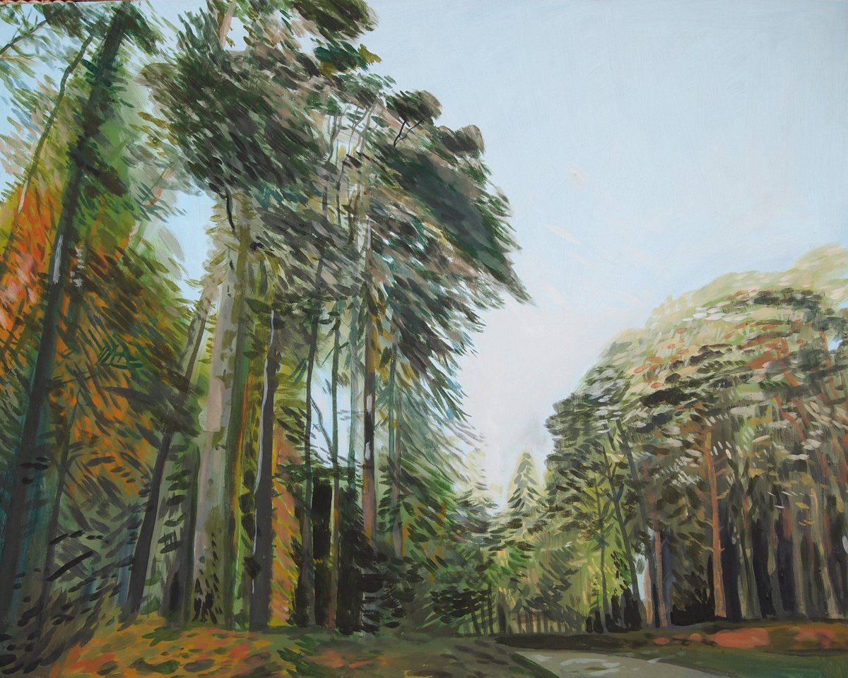 New Forest Road by Kitty Cooper