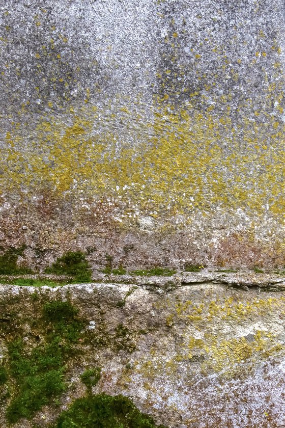 Wall 13
