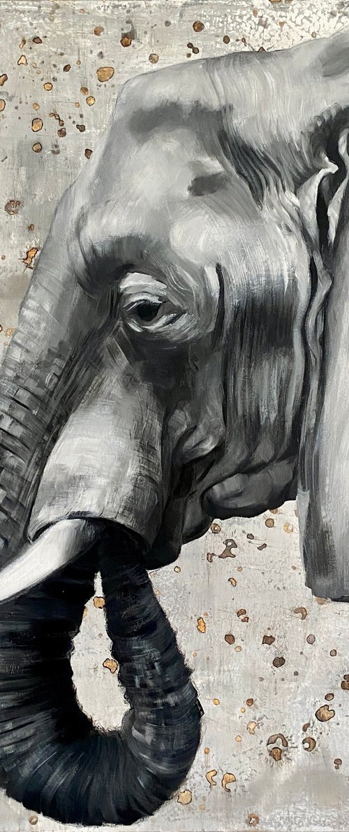 Oscar the Elephant by Anna Ganina