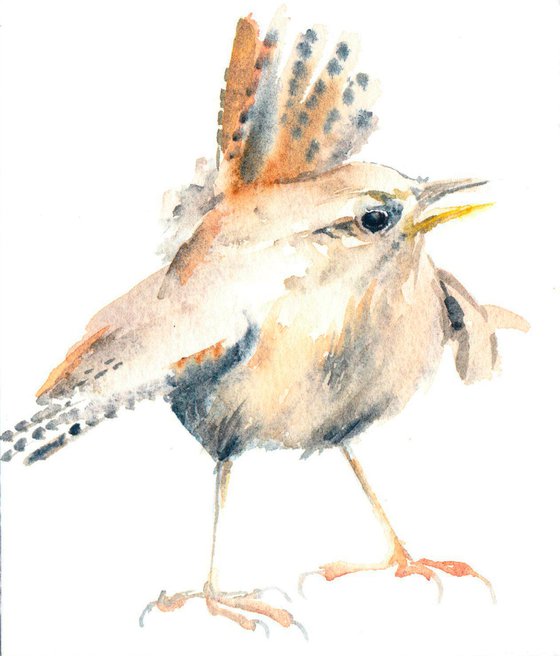 Wren painting, Wren in watercolour, Original Watercolour Bird painting