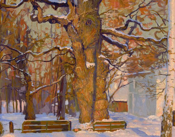 Old Oak-tree in Kolomenskoye