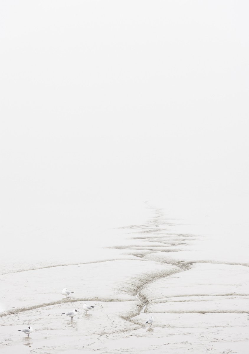 Impressionistic Landscape Photograph By Tom Hanslien, 33 X 47", London Fog I, Original Artwork