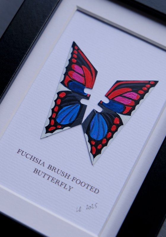 Fuchsia Brush-footed butterfly