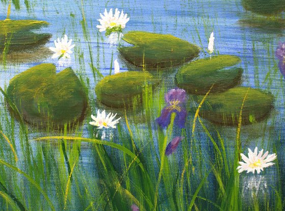 Water lily pond