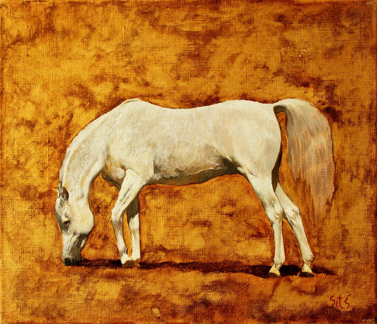 White horse Oil painting by Andrei Sitsko Artfinder