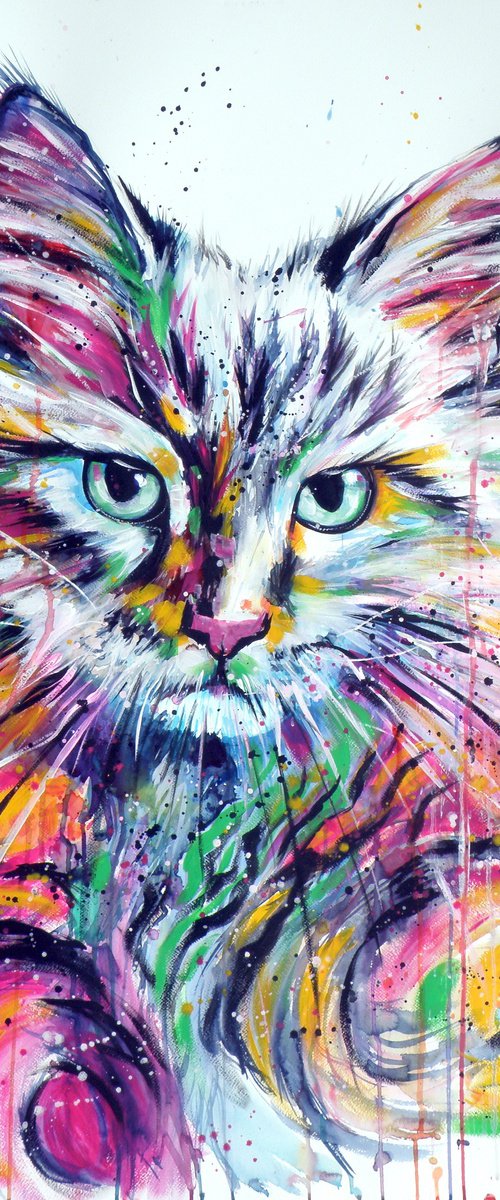Colorful cat by Kovács Anna Brigitta
