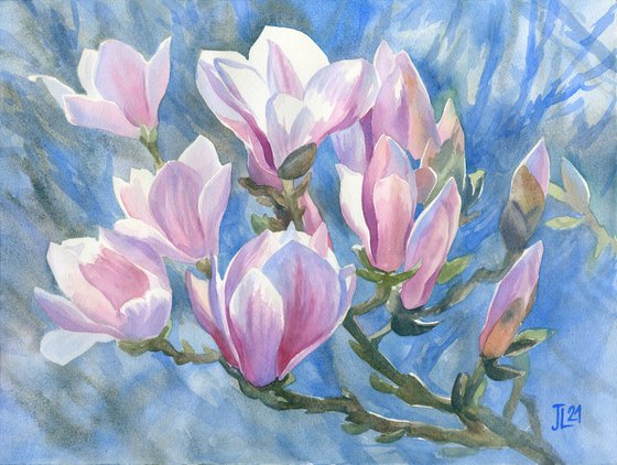Magnolias Original Watercolor Flower art Floral blue pink sunlight gift for her